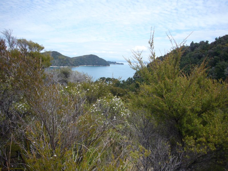 Travel - New Zealand - Abel Tasman National Park